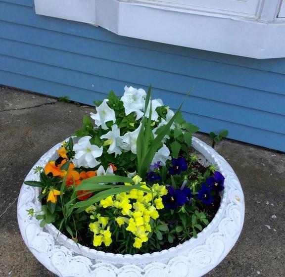 Motel Elodge Near The Falls | Niagara Falls | Ontario | Canada 12