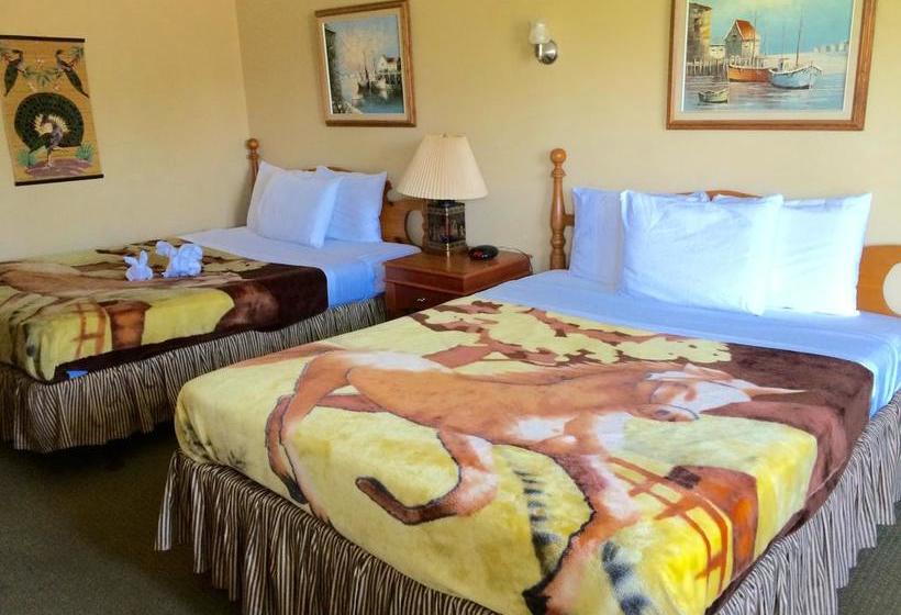 Motel Elodge Near The Falls | Niagara Falls | Ontario | Canada 16