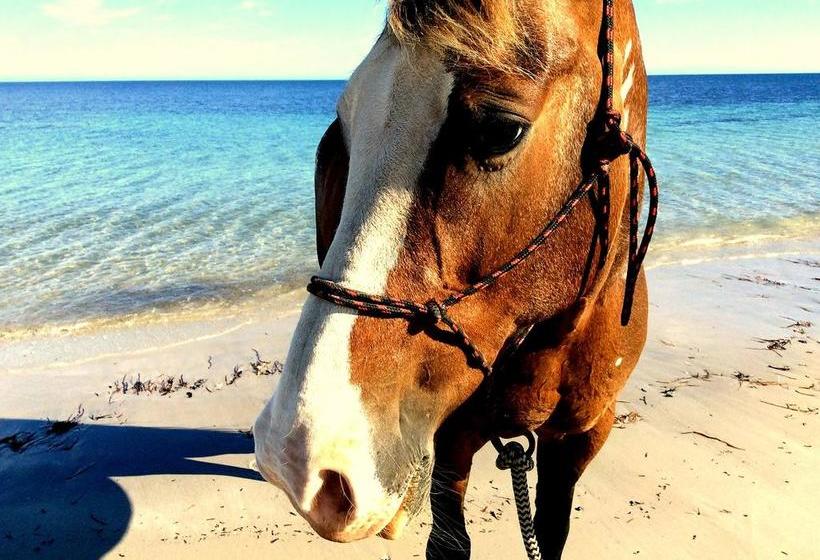 Lure Bed And Breakfast | Normanville | South Australia | Australia 15