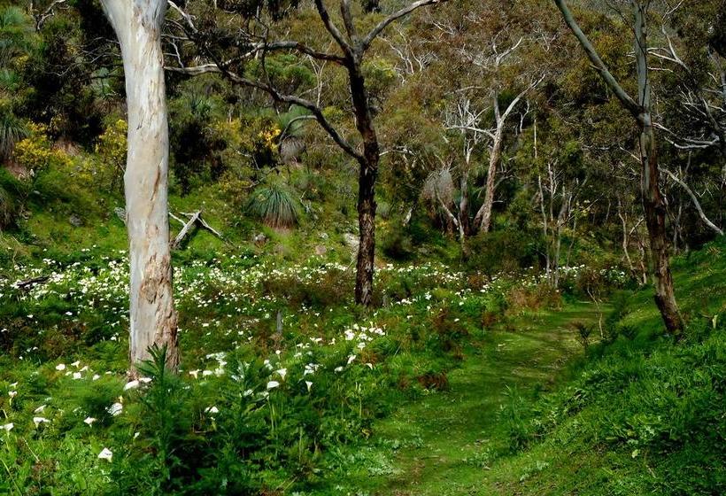 Lure Bed And Breakfast | Normanville | South Australia | Australia 17