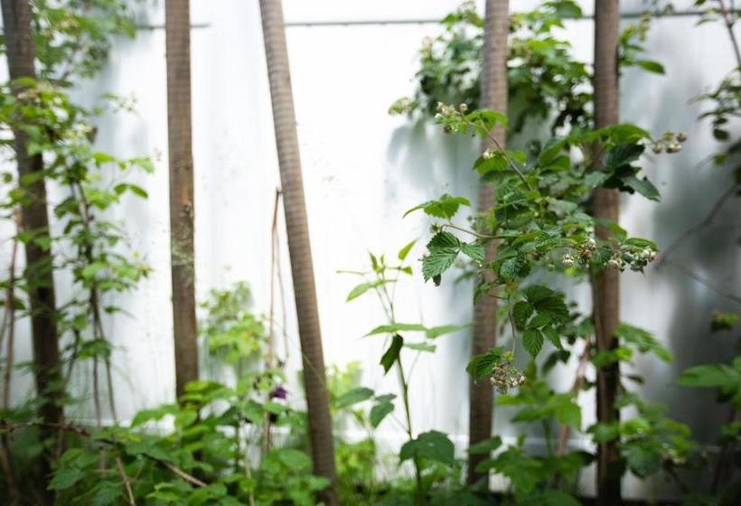 Alpenrose Revelstoke Bed & Breakfast | Revelstoke | British Columbia | Canada 20