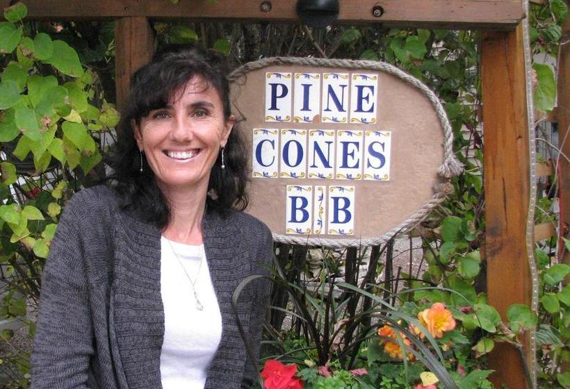 Pine Cones Bed & Breakfast Golden Columbia Británica