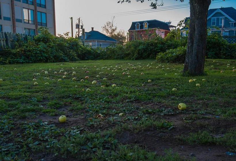 Hotel Prince Inn | Charlottetown | Prince Edward Island | Canada 5