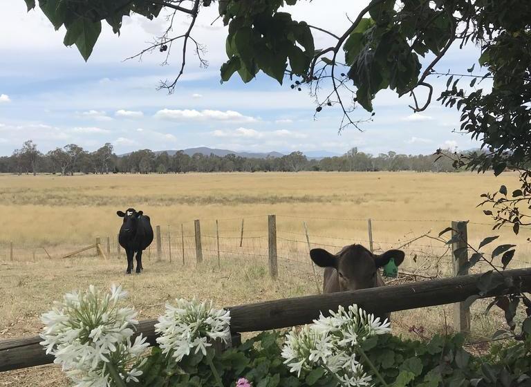 Bed and Breakfast Holly House Bnb | Moyhu | Victoria | Australia 15