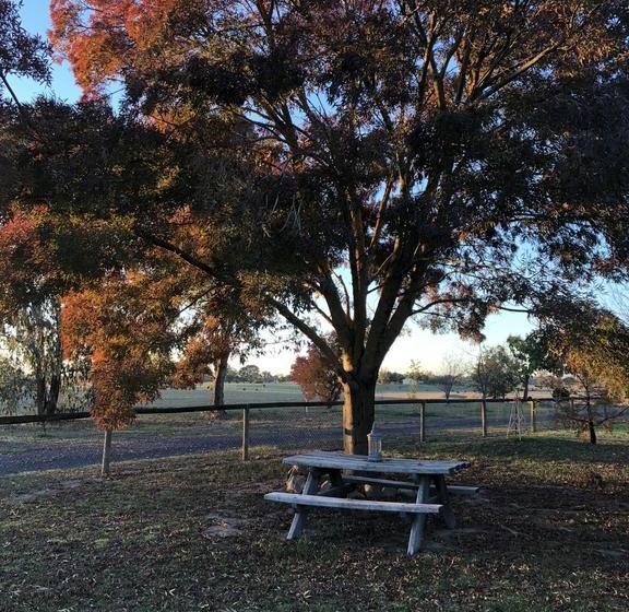 Bed and Breakfast Holly House Bnb | Moyhu | Victoria | Australia 16