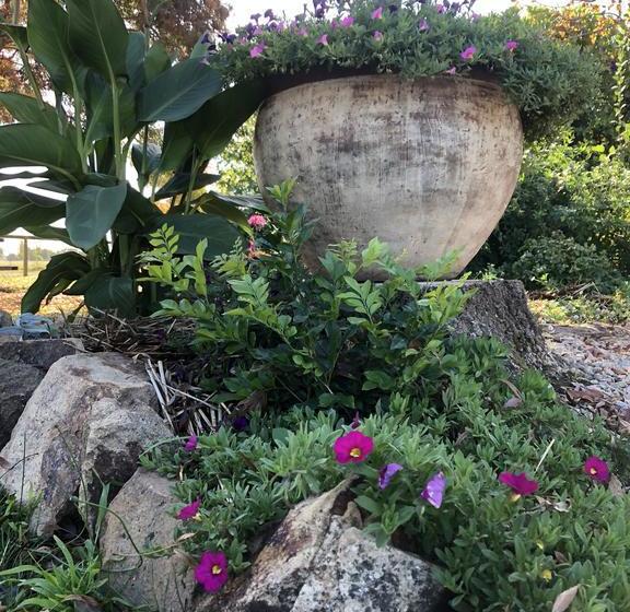 Bed and Breakfast Holly House Bnb | Moyhu | Victoria | Australia 18