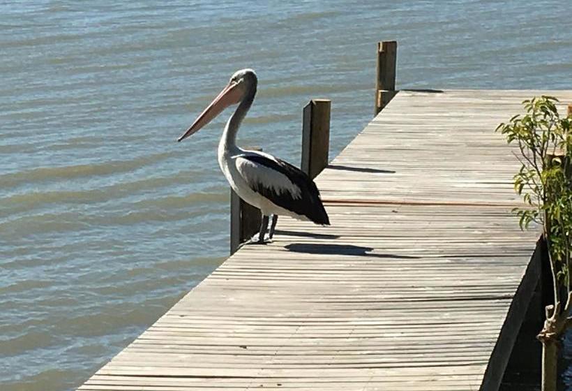 Bed and Breakfast Washpool Retreat | Wellington East | South Australia | Australia 19