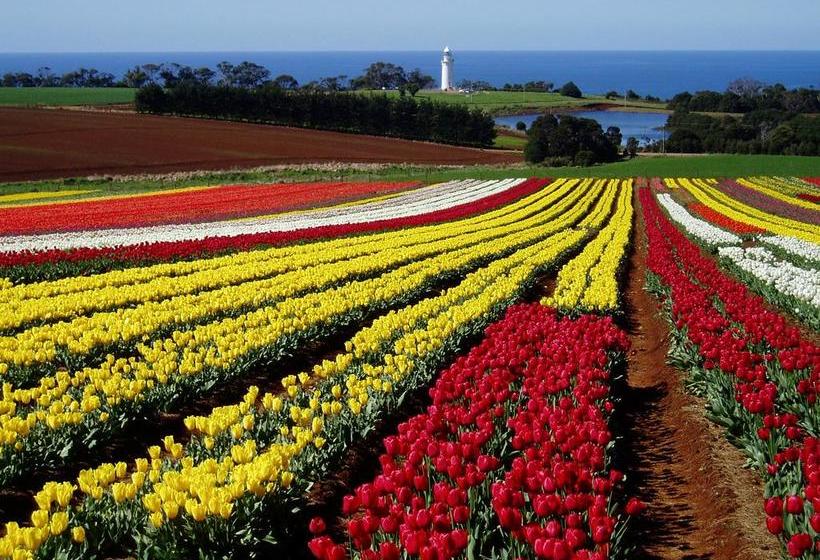 Bed and Breakfast Seascape Beach House | Boat Harbour Beach | Tasmania | Australia 16