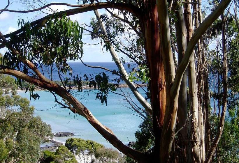 Bed and Breakfast Seascape Beach House | Boat Harbour Beach | Tasmania | Australia 9