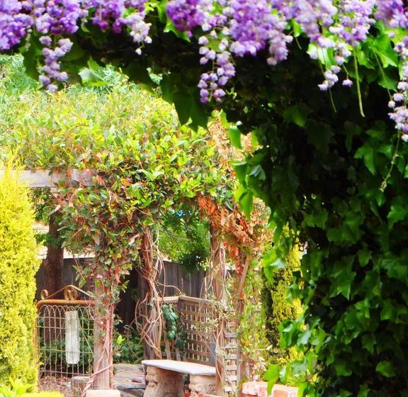 Bed and Breakfast Barossa Peppertree Cottage | Stockwell | South Australia | Australia 14