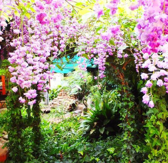 Bed and Breakfast Barossa Peppertree Cottage | Stockwell | South Australia | Australia 5