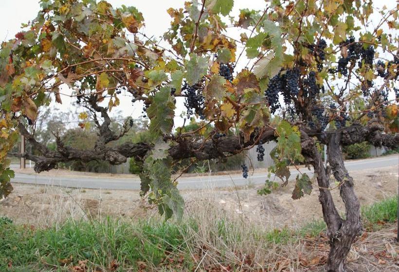 Bed and Breakfast Horrocks Road Lodge | Penwortham | South Australia | Australia 1