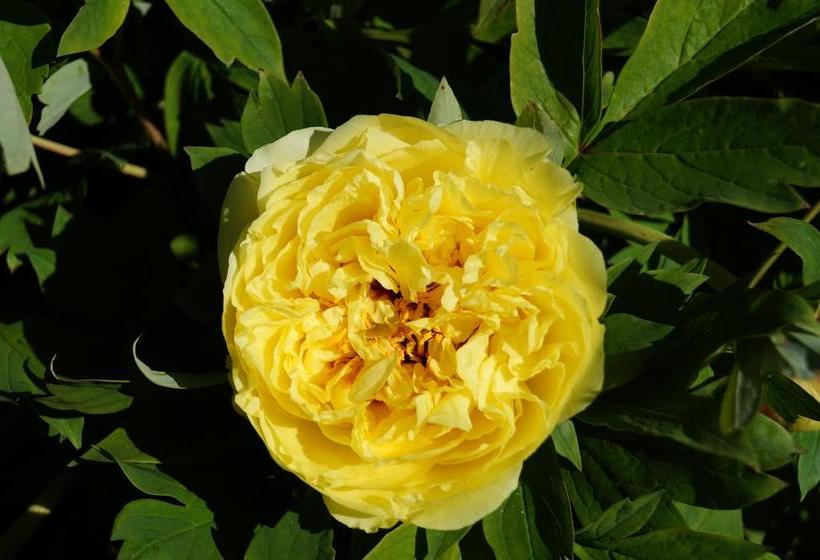 Eagle S View Bed & Breakfast | Wandin North | Victoria | Australia 16