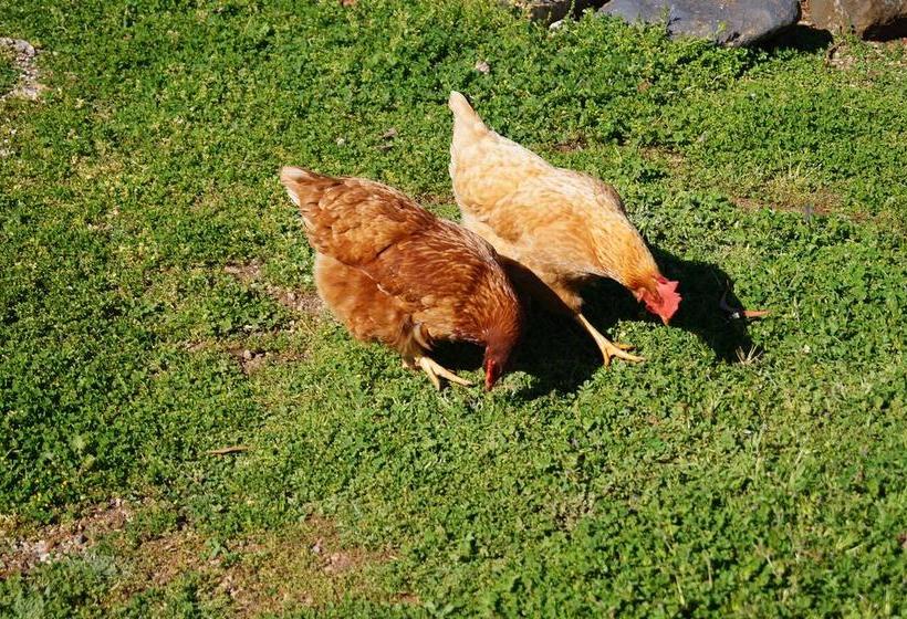 Eagle S View Bed & Breakfast | Wandin North | Victoria | Australia 18