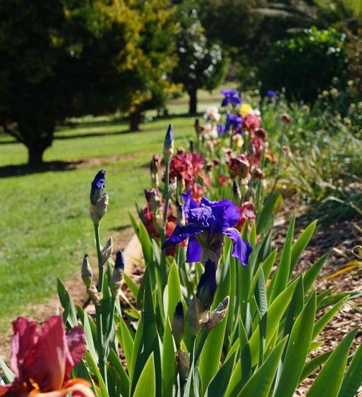 Eagle S View Bed & Breakfast | Wandin North | Victoria | Australia 5