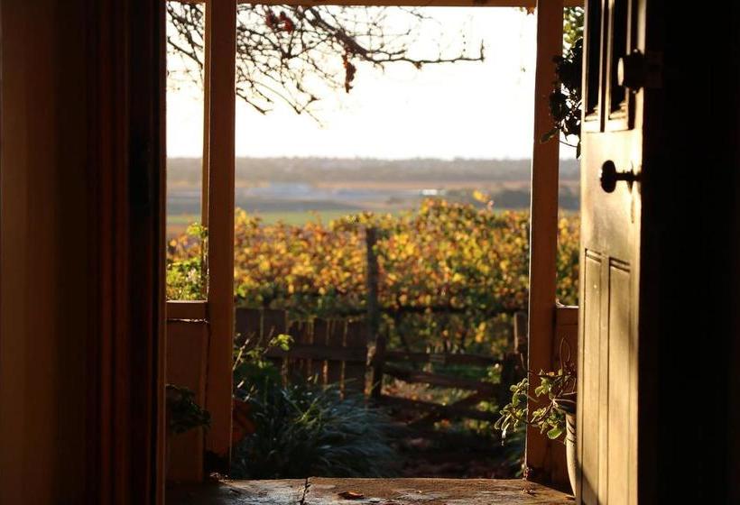 Bed and Breakfast Sea & Vines Cottage | Sellicks Beach | South Australia | Australia 3