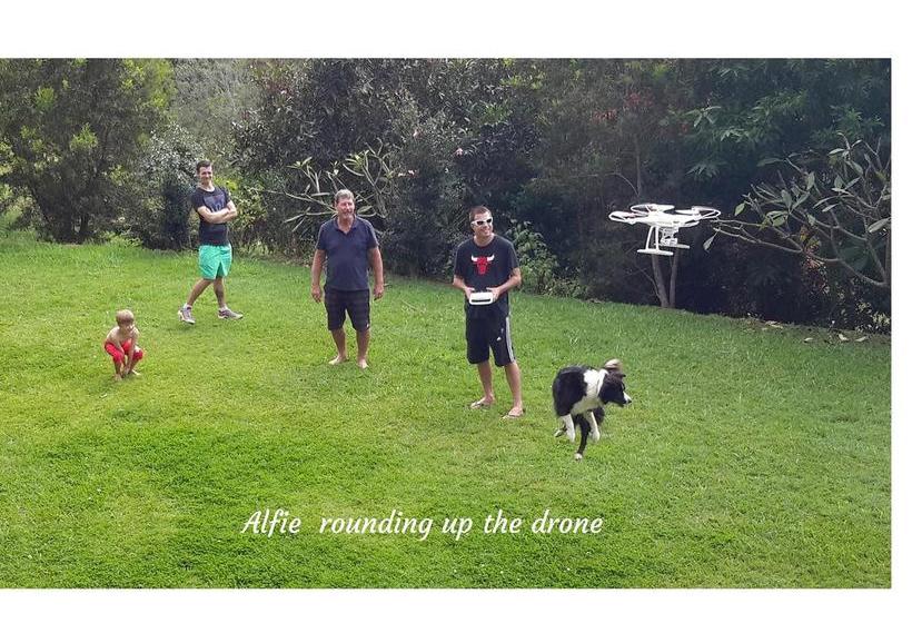 Bed and Breakfast Innistaigh Retreat | Landsborough | Queensland | Australia 17