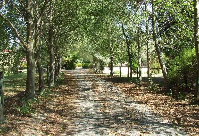 Bed and Breakfast Still Waters | Yellingbo | Victoria | Australia 10