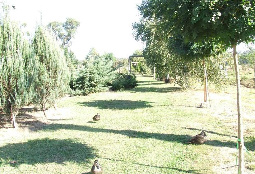 Bed and Breakfast Still Waters | Yellingbo | Victoria | Australia 15