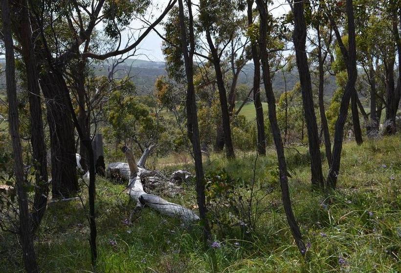 Trestrail Cottage B & B | Penwortham | South Australia | Australia 14