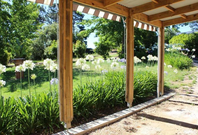 Bed and Breakfast Pirralilla Estate | Aldgate | South Australia | Australia 13