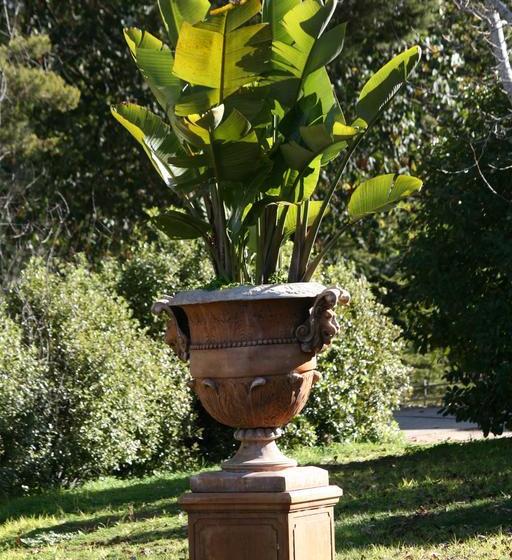 Bed and Breakfast Pirralilla Estate | Aldgate | South Australia | Australia 15