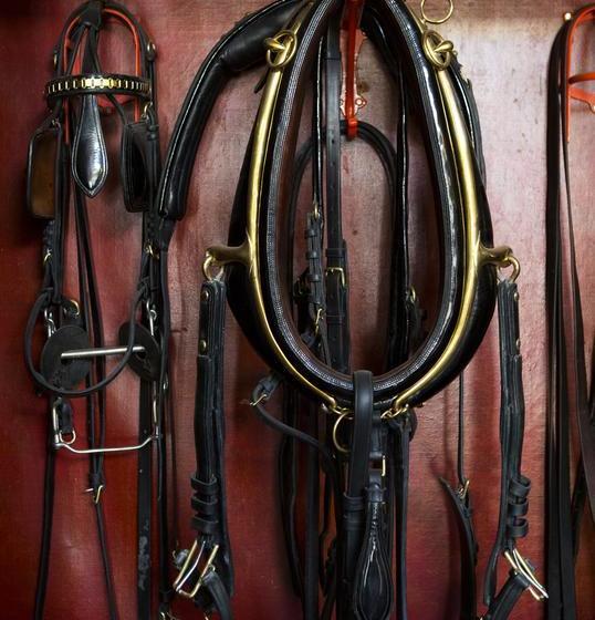 Bed and Breakfast Anlaby | Hamilton | South Australia | Australia 12