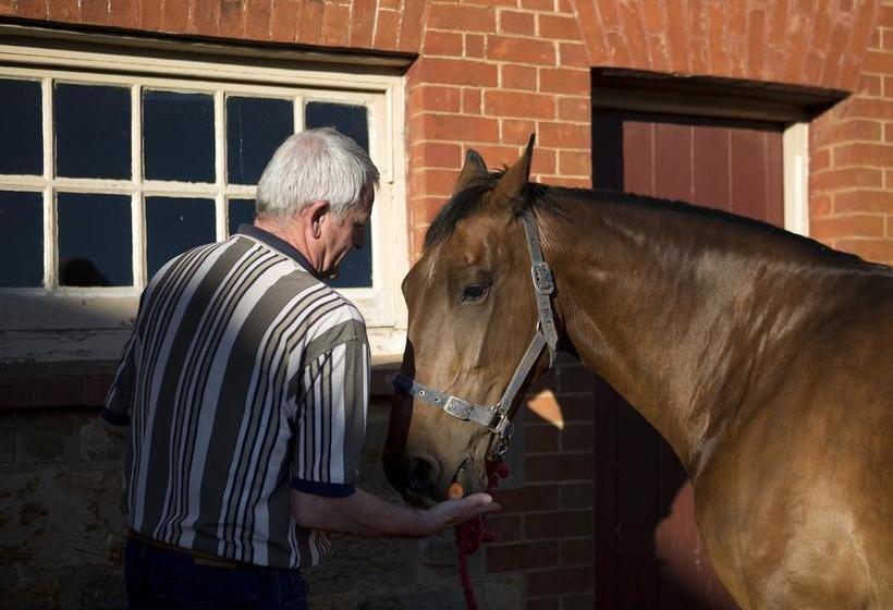 Bed and Breakfast Anlaby | Hamilton | South Australia | Australia 6