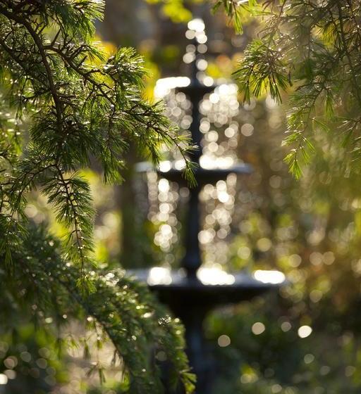 Bed and Breakfast Anlaby | Hamilton | South Australia | Australia 8