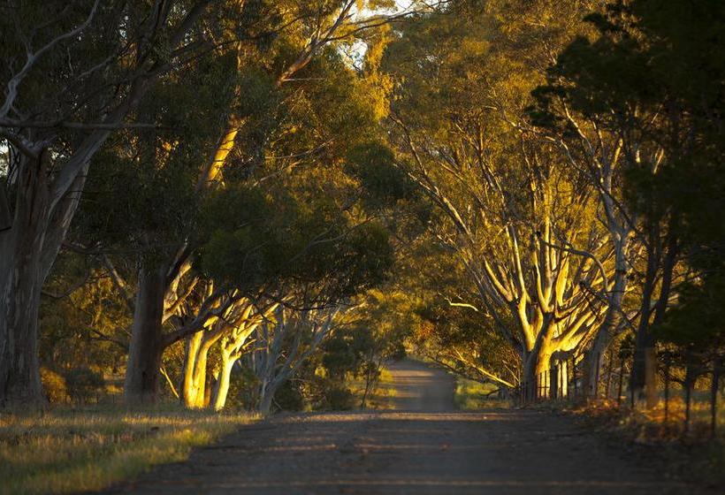 Bed and Breakfast Anlaby | Hamilton | South Australia | Australia 9