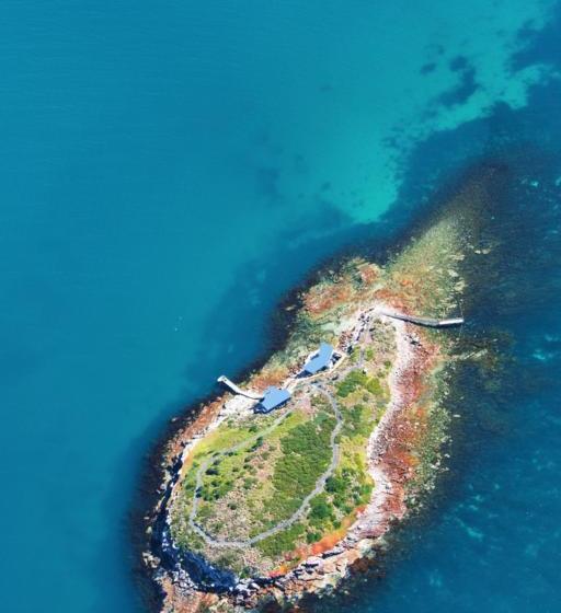 Resort Picnic Island | Coles Bay | Tasmania | Australia 1
