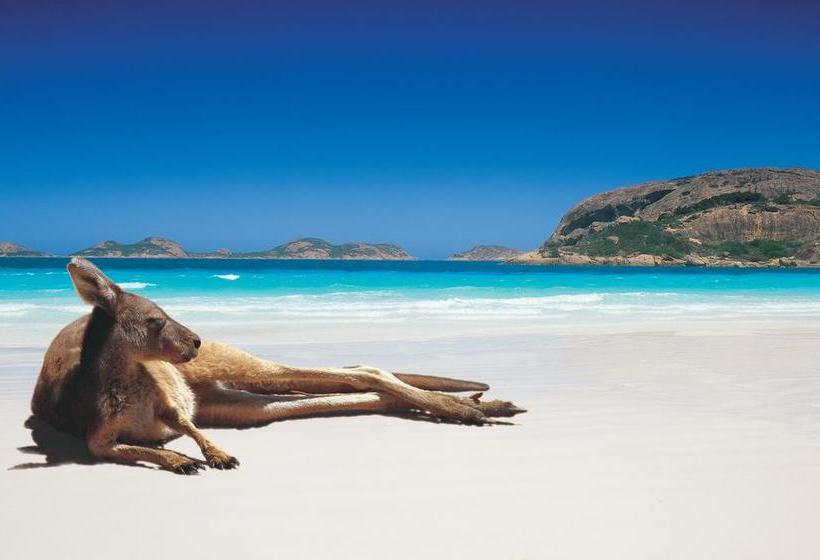 Hostel Esperance Yha | Esperance | Western Australia | Australia 8