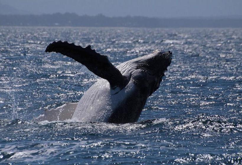 Bed and Breakfast Kelly S Bnb | Hervey Bay | Queensland | Australia 2