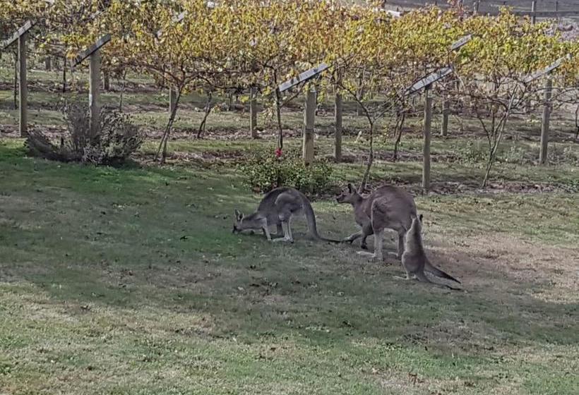 Wurrung B & B | Woodend | South Australia | Australia 17