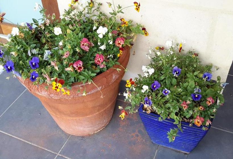 Bed and Breakfast Malpas House | Willunga | South Australia | Australia 5