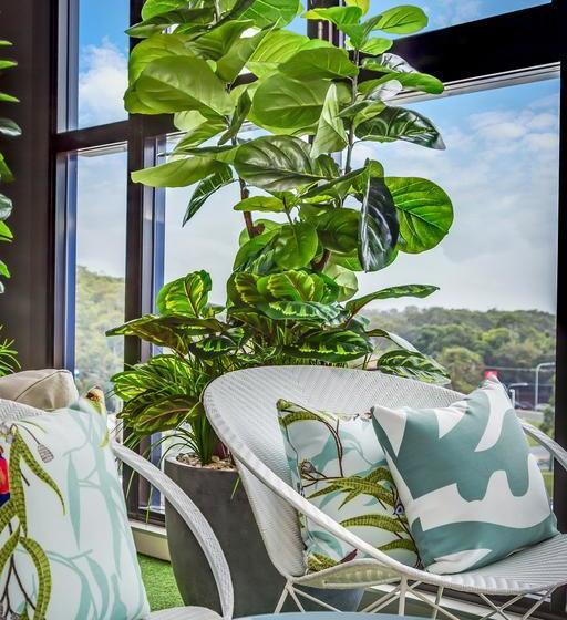 Hotel Mantra At Sharks | Gold Coast  | Queensland | Australia 14