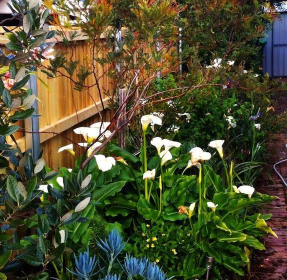 Bed and Breakfast Belton Abode | Hobart | Tasmania | Australia 15