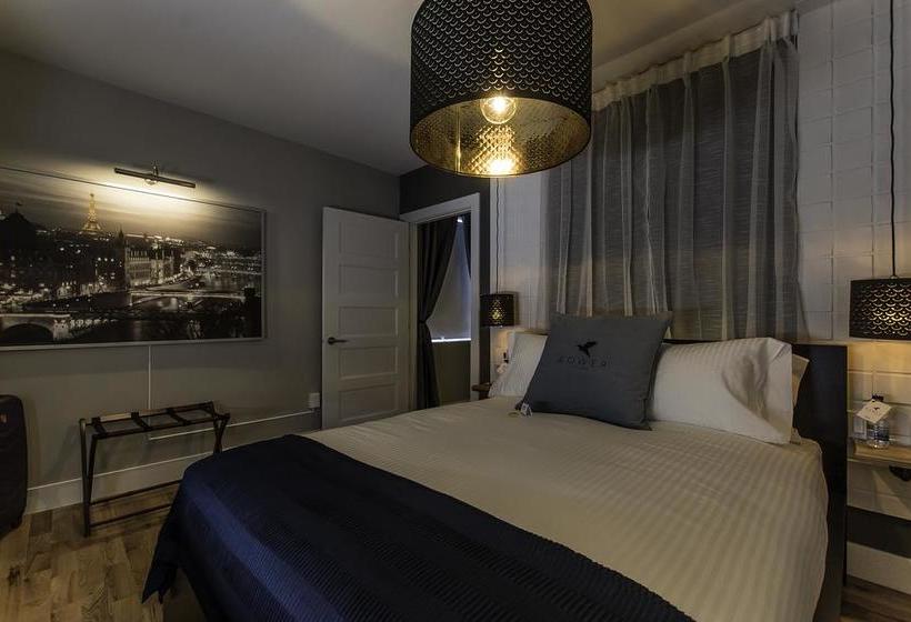 Hotel Bower On Robinson New Brunswick