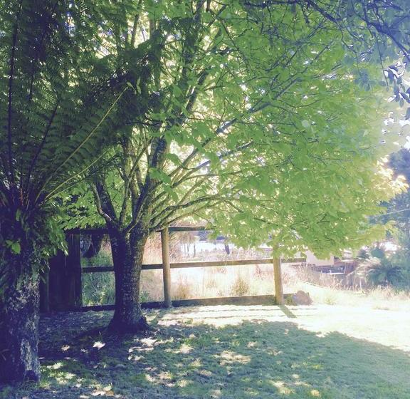 Wandering Geese Boutique Bed And Breakfast | Strahan | Tasmania | Australia 14