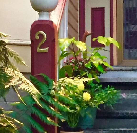 Wandering Geese Boutique Bed And Breakfast | Strahan | Tasmania | Australia 18