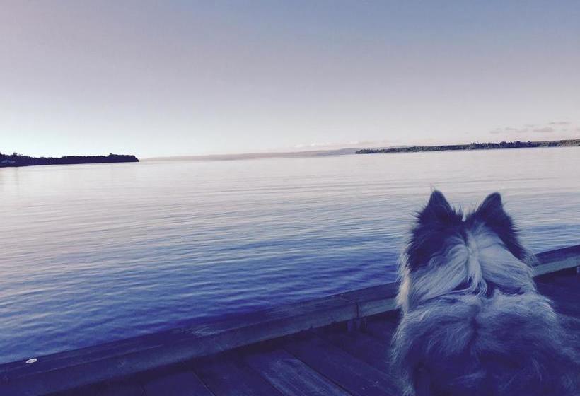 Wandering Geese Boutique Bed And Breakfast | Strahan | Tasmania | Australia 2