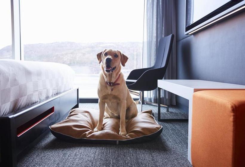 Alt Hotel St. John S | St. John'S | Newfoundland and Labrador | Canada 14