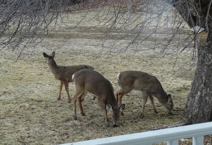 Bed and Breakfast L Escale Celtic | Magog | Quebec | Canada 11