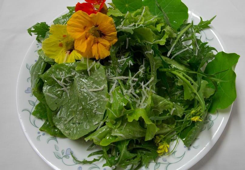 Bed and Breakfast Discovery Yukon Lodgings | Beaver Creek | Yukon Territory | Canada 6