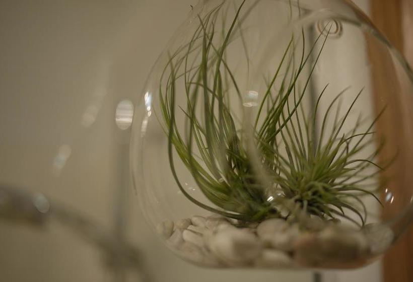 Bed and Breakfast Finnview House | Hobart | Tasmania | Australia 13