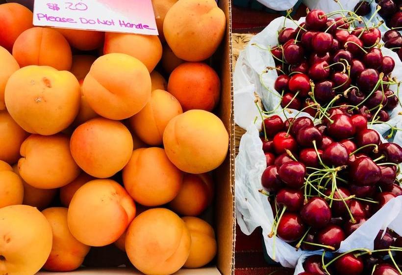 Bed and Breakfast Summerhill Estate House | Kelowna | British Columbia | Canada 3