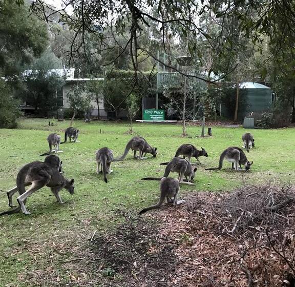 Hostel Tim S Place | Halls Gap | Victoria | Australia 6
