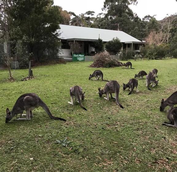 Hostel Tim S Place | Halls Gap | Victoria | Australia 7