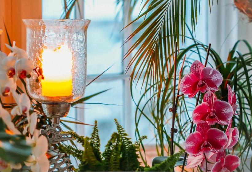 Star Of The Sea B&b | Halifax | Nova Scotia | Canada 10