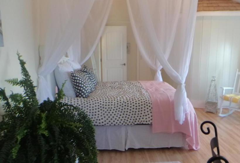 Star Of The Sea B&b | Halifax | Nova Scotia | Canada 16